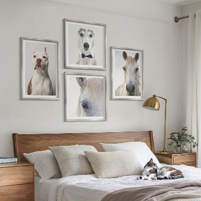 Set de 4 cuadros para salón Retratos de perros y caballos con elegancia
