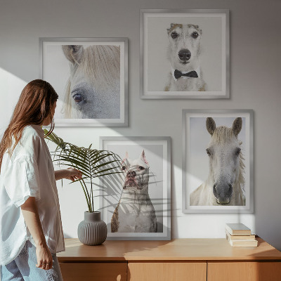 Set de 4 cuadros para salón Retratos de perros y caballos con elegancia