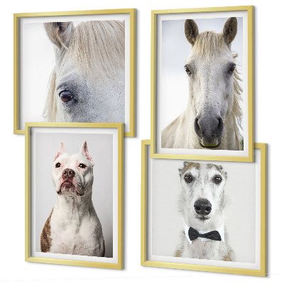 Set de 4 cuadros para salón Retratos de perros y caballos con elegancia