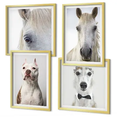 Set de 4 cuadros decorativos retratos elegantes de perros y caballos para salón