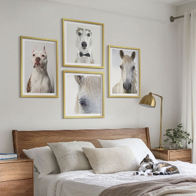 Set de 4 cuadros para salón Retratos de perros y caballos con elegancia
