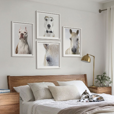 Set de 4 cuadros para salón Retratos de perros y caballos con elegancia