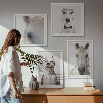 Set de 4 cuadros para salón Retratos de perros y caballos con elegancia