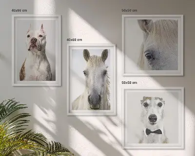 Set de 4 cuadros decorativos retratos elegantes de perros y caballos para salón