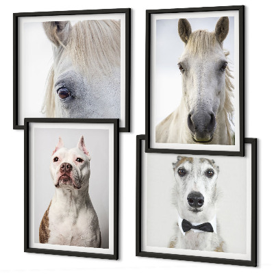 Set de 4 cuadros para salón Retratos de perros y caballos con elegancia