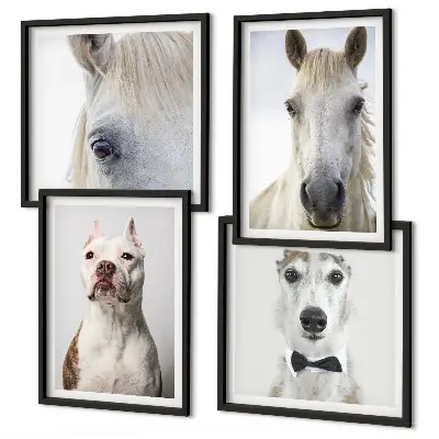 Set de 4 cuadros decorativos retratos elegantes de perros y caballos para salón