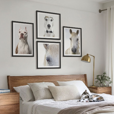 Set de 4 cuadros para salón Retratos de perros y caballos con elegancia