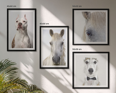 Set de 4 cuadros para salón Retratos de perros y caballos con elegancia