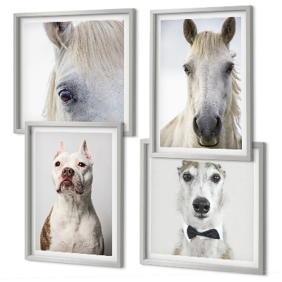 Set de 4 cuadros para salón Retratos de perros y caballos con elegancia