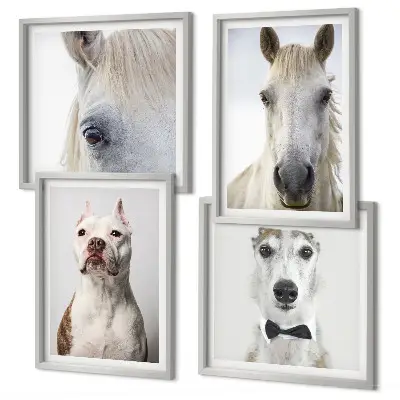 Set de 4 cuadros decorativos retratos elegantes de perros y caballos para salón