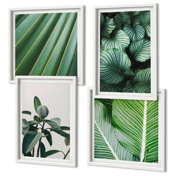 Set de 4 cuadros para salón Hojas tropicales en verde