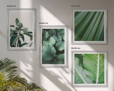 Set de 4 cuadros para salón Hojas tropicales en verde