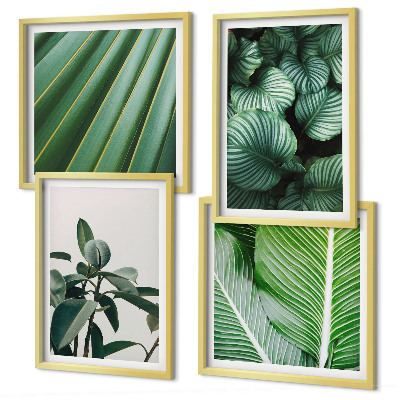 Set de 4 cuadros para salón Hojas tropicales en verde