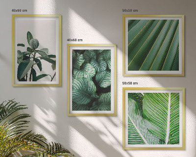 Set de 4 cuadros para salón Hojas tropicales en verde