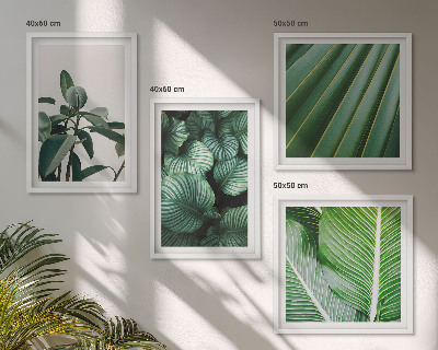Set de 4 cuadros para salón Hojas tropicales en verde