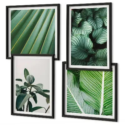 Set de 4 cuadros para salón diseño de hojas tropicales en verde