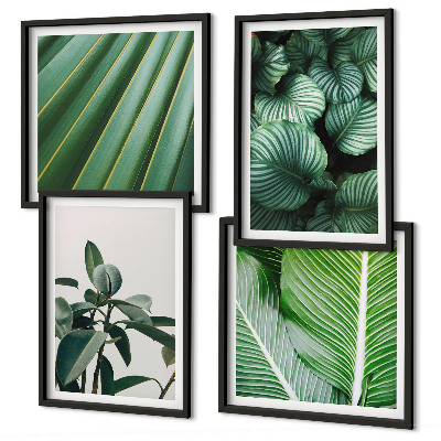 Set de 4 cuadros para salón Hojas tropicales en verde