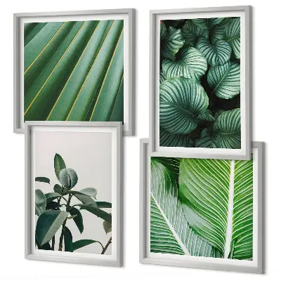 Set de 4 cuadros para salón diseño de hojas tropicales en verde