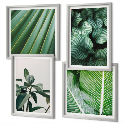 Set de 4 cuadros para salón Hojas tropicales en verde
