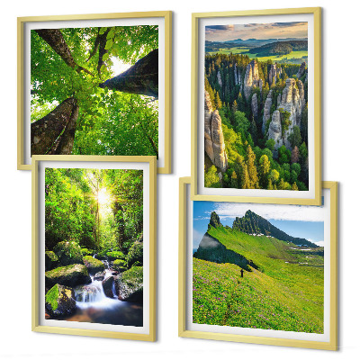 Set de 4 cuadros para salón Bosque de cascadas de las montañas verdes