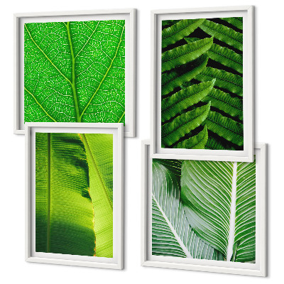 Galería de pared Primer plano de hojas tropicales