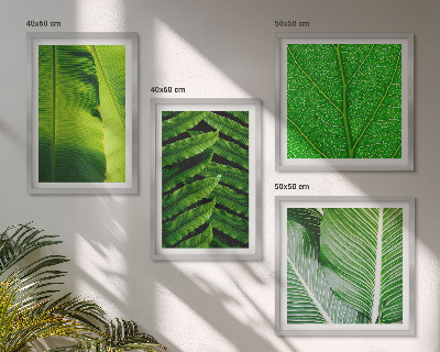 Galería de pared Primer plano de hojas tropicales