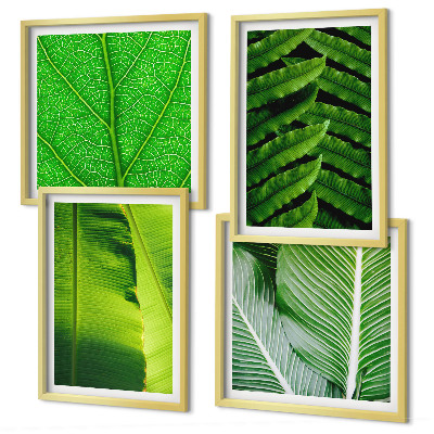 Galería de pared Primer plano de hojas tropicales
