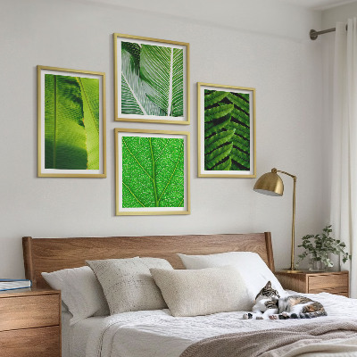 Galería de pared Primer plano de hojas tropicales