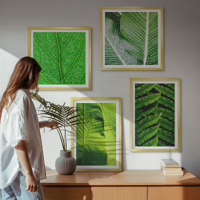 Galería de pared Primer plano de hojas tropicales