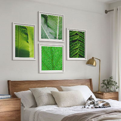 Galería de pared Primer plano de hojas tropicales