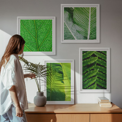 Galería de pared Primer plano de hojas tropicales