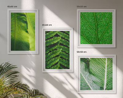 Galería de pared Primer plano de hojas tropicales