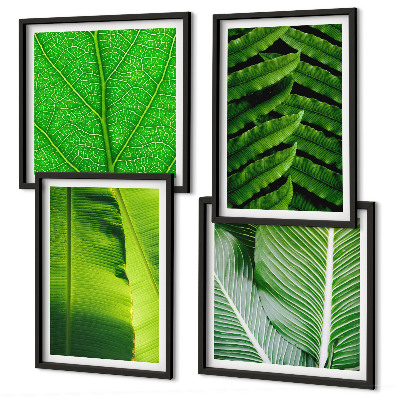 Galería de pared Primer plano de hojas tropicales