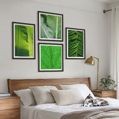 Galería de pared Primer plano de hojas tropicales