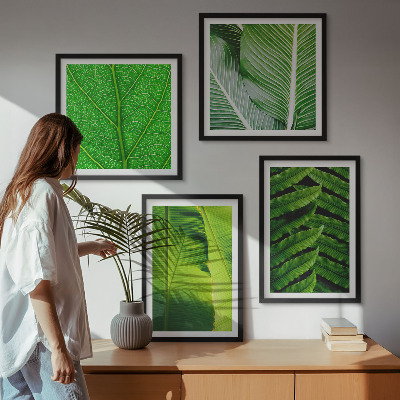Galería de pared Primer plano de hojas tropicales