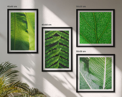 Galería de pared Primer plano de hojas tropicales