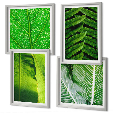 Galería de pared Primer plano de hojas tropicales