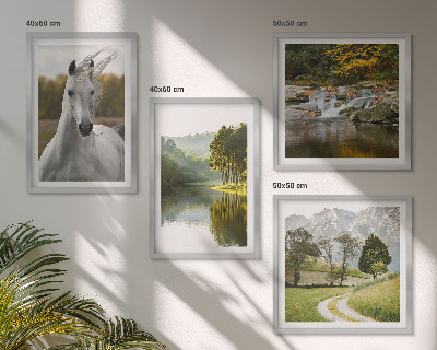 Set de 4 cuadros para salón Caballos blancos río naturaleza