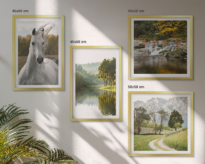 Set de 4 cuadros para salón Caballos blancos río naturaleza
