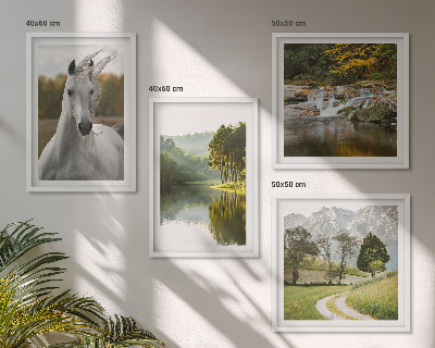 Set de 4 cuadros para salón Caballos blancos río naturaleza