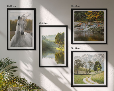 Set de 4 cuadros para salón Caballos blancos río naturaleza