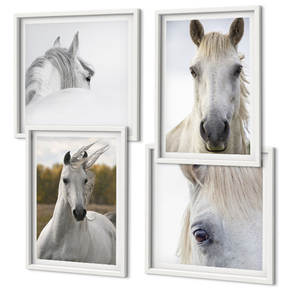 Set de 4 cuadros para salón caballos blancos