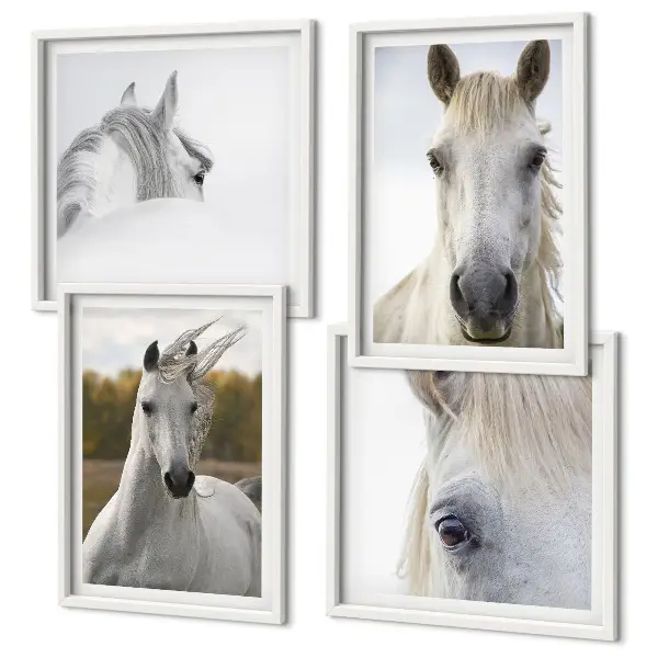 Set de 4 cuadros para salón motivo de caballos blancos