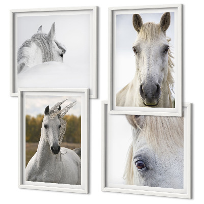 Set de 4 cuadros para salón caballos blancos