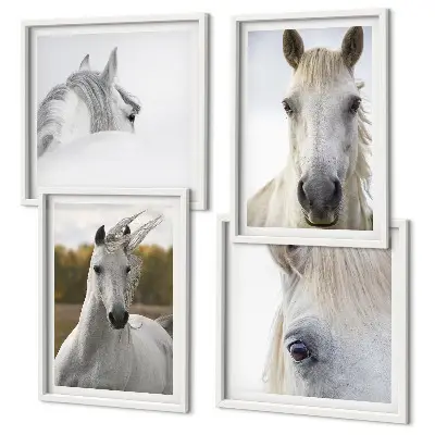 Set de 4 cuadros para salón motivo de caballos blancos