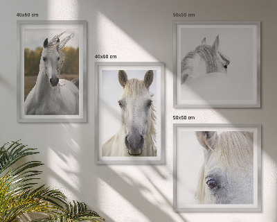 Set de 4 cuadros para salón caballos blancos