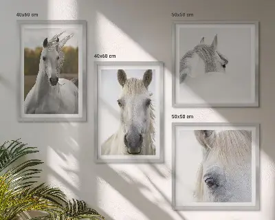 Set de 4 cuadros para salón motivo de caballos blancos