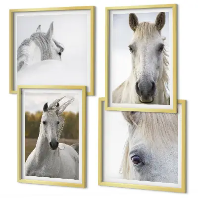 Set de 4 cuadros para salón motivo de caballos blancos
