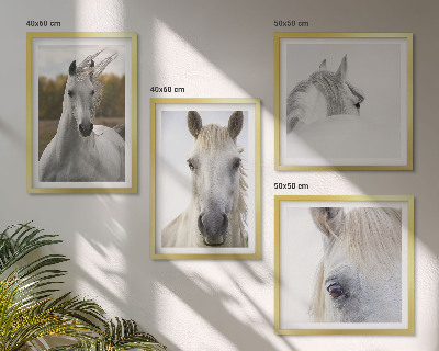 Set de 4 cuadros para salón caballos blancos