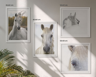 Set de 4 cuadros para salón caballos blancos
